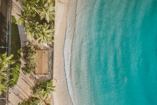 Hawaii Oceanfront Villas With Palm Benches and Lava Walls