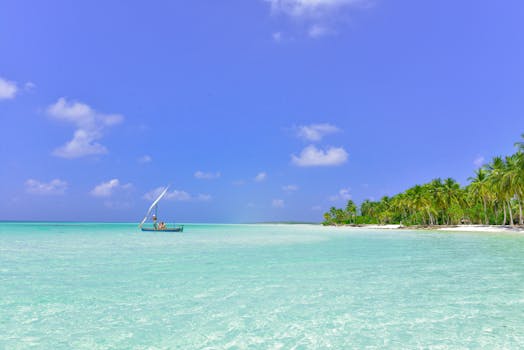 Seychelles Island Villas With Coral Steps and Ocean Hammocks
