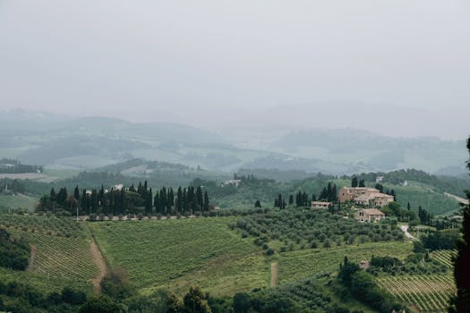 Tuscany Olive Villas With Vineyard Ceilings and Fire Floors